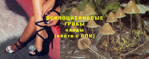молекула духа Баксан
