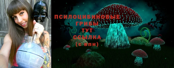 молекула духа Баксан