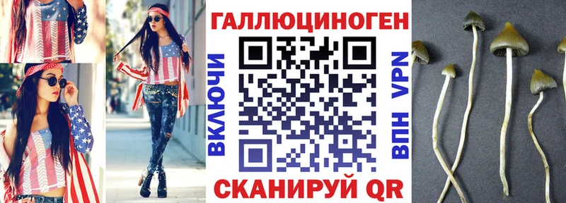Купить закладки Усолье-Сибирское Галлюциногенные грибы Psilocybe